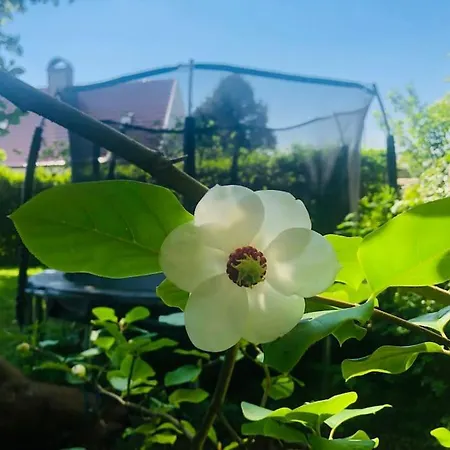 Nydelig Hus, Ons 2024 Villa