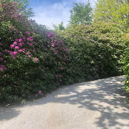 Villaer Nydelig Hus, Ons 2024